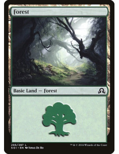 Forest - Foil