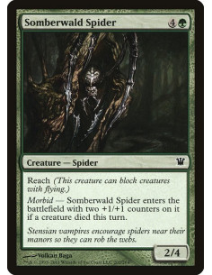 Somberwald Spider