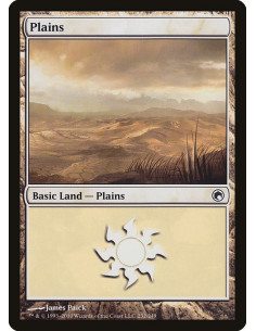 Plains
