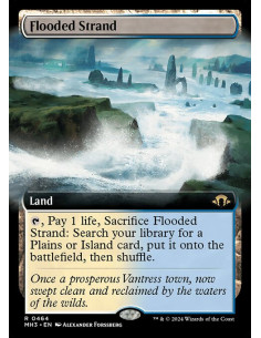 Flooded Strand - Foil