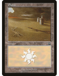 Plains