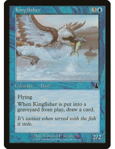 Kingfisher - Foil