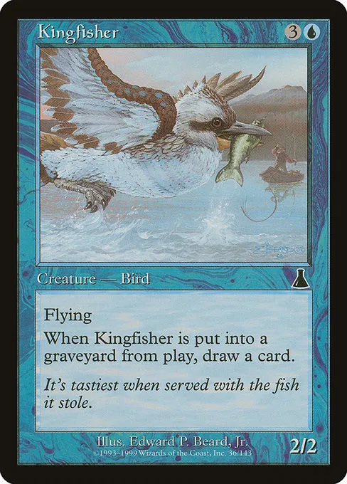 Kingfisher - Foil