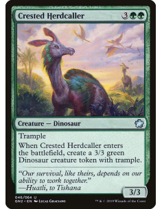 Crested Herdcaller