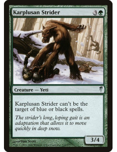 Karplusan Strider - Foil