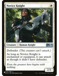 Novice Knight