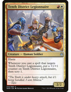 Tenth District Legionnaire