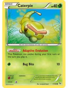 Caterpie