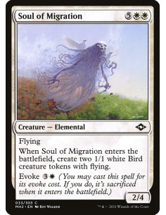 Soul of Migration