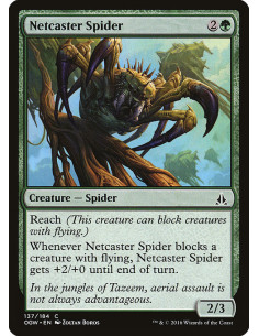 Netcaster Spider