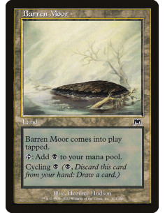 Barren Moor - Foil