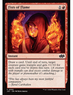 Fists of Flame