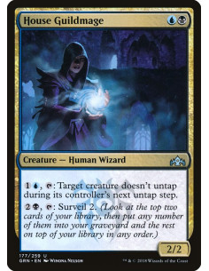 House Guildmage