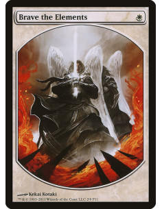 Brave the Elements