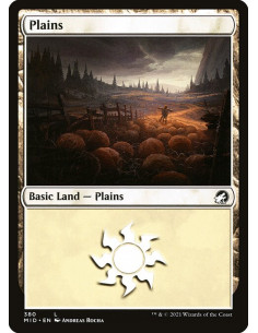 Plains