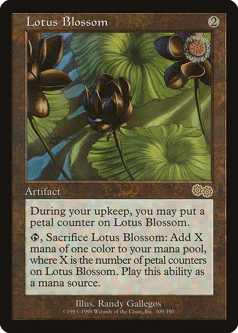 Lotus Blossom