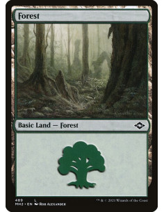 Forest