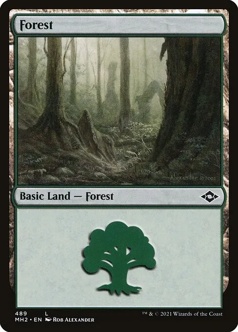 Forest - Foil