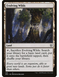Evolving Wilds