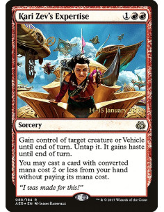 Kari Zev's Expertise - Foil