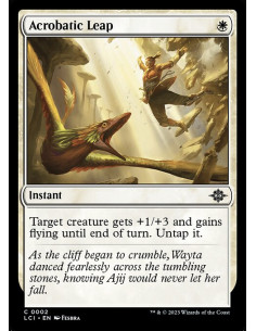 Acrobatic Leap