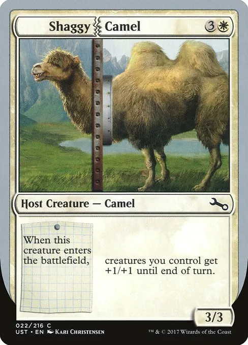Shaggy Camel - Foil
