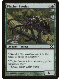 Pincher Beetles