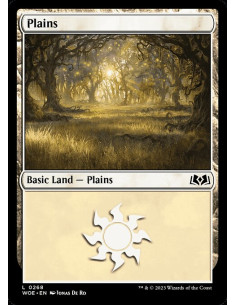 Plains - Foil