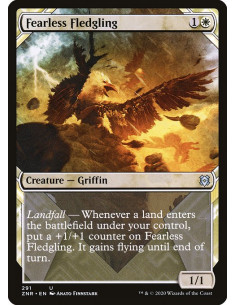Fearless Fledgling