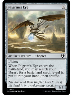Pilgrim's Eye