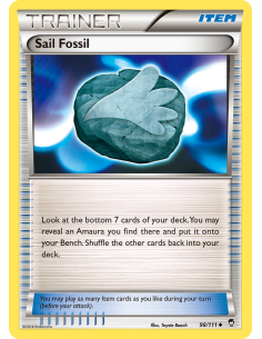 Sail Fossil