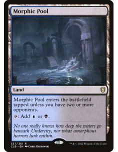 Morphic Pool - Foil