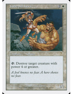 Intrepid Hero