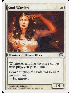 Soul Warden
