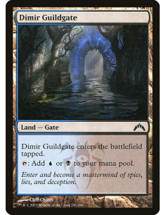Dimir Guildgate