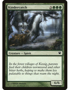 Kindercatch