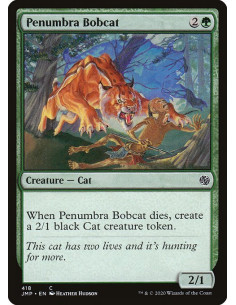 Penumbra Bobcat