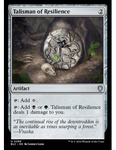 Talisman of Resilience