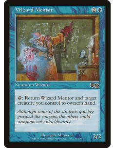 Wizard Mentor