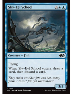 Sky-Eel School
