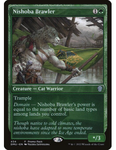 Nishoba Brawler - Foil