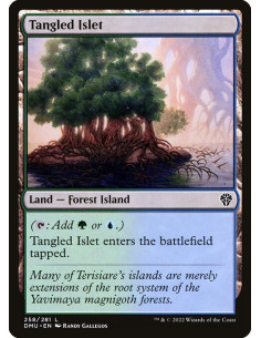 Tangled Islet
