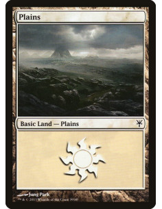 Plains