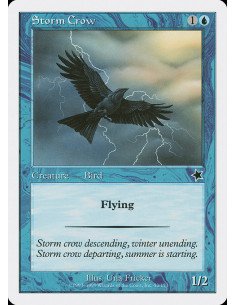 Storm Crow