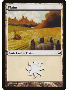 Plains