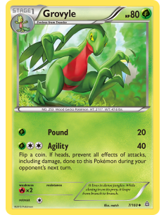Grovyle