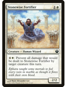 Stonewise Fortifier - Foil