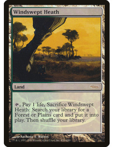 Windswept Heath - Foil
