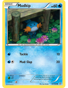 Mudkip