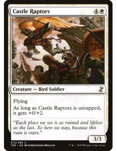 Castle Raptors